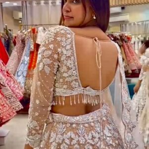 Butterfly net lehenga