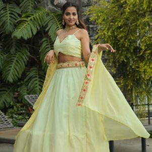 Netted georgette lehenga