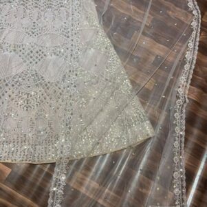 Net embellished lehenga