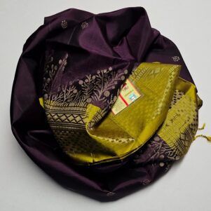 Kanchi silk saree