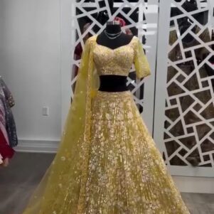 Butterfly Net Sequins lehenga